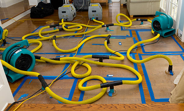 Professional Storm Water Damage Restoration technician working in Centreville, MI